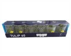 TULIP ÜVEGPOHÁR 185ML.6DB. / 12